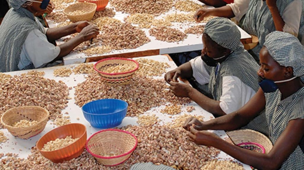 Cocoa processing