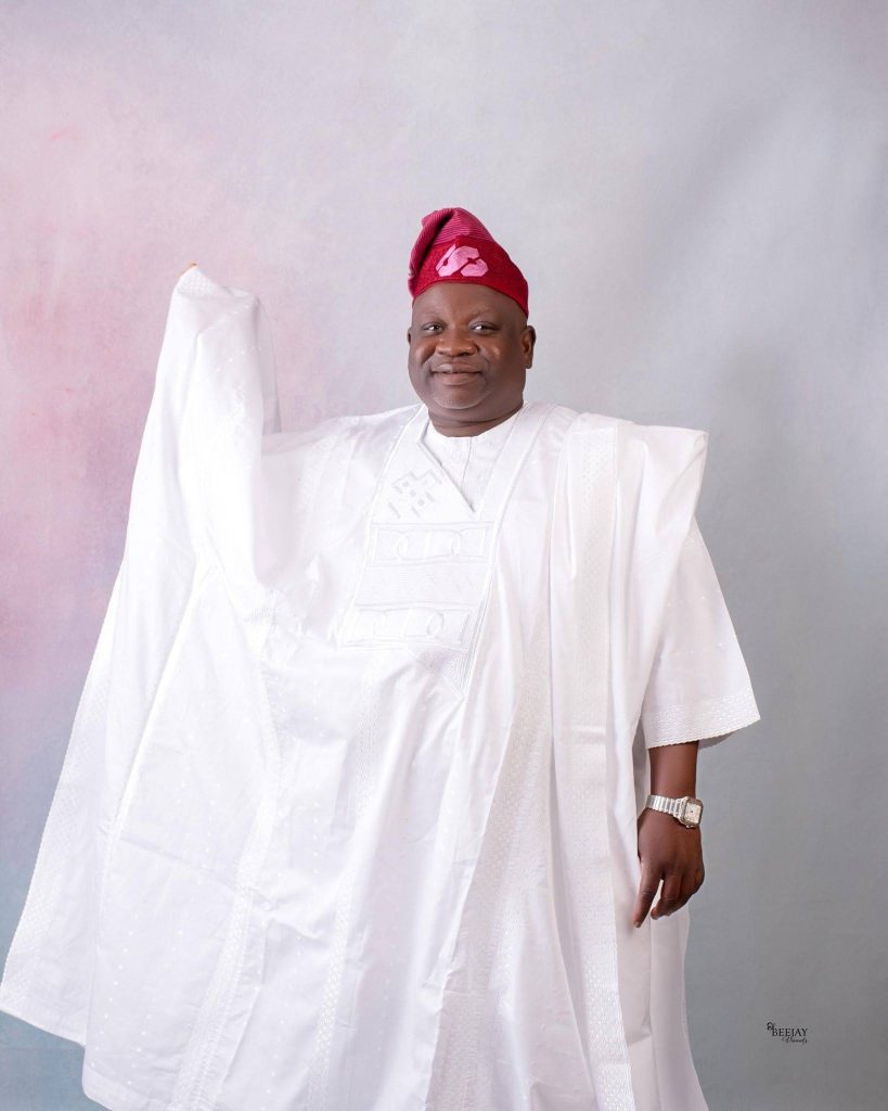 Oluwadamilare Ajagbe - CEO, Darmol Global